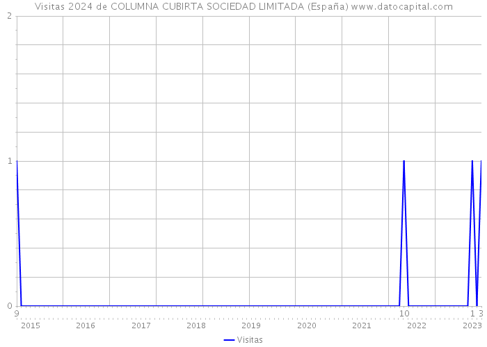 Visitas 2024 de COLUMNA CUBIRTA SOCIEDAD LIMITADA (España) 
