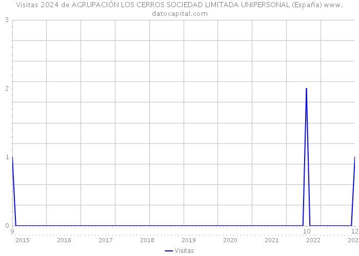 Visitas 2024 de AGRUPACIÓN LOS CERROS SOCIEDAD LIMITADA UNIPERSONAL (España) 
