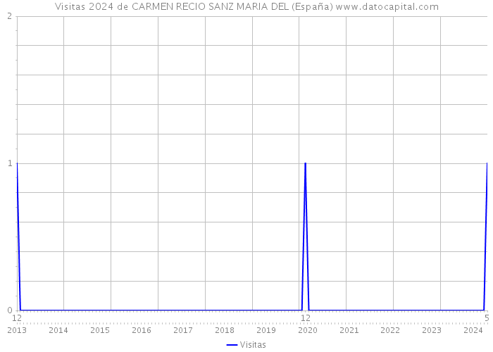 Visitas 2024 de CARMEN RECIO SANZ MARIA DEL (España) 