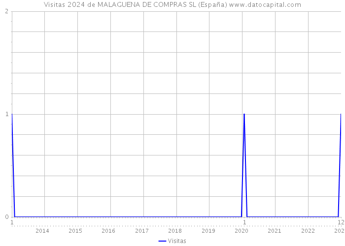 Visitas 2024 de MALAGUENA DE COMPRAS SL (España) 