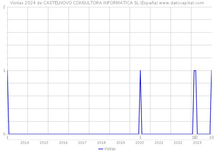 Visitas 2024 de CASTELNOVO CONSULTORA INFORMATICA SL (España) 