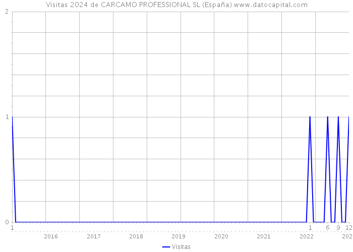 Visitas 2024 de CARCAMO PROFESSIONAL SL (España) 