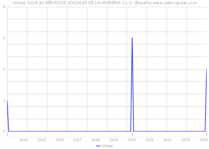 Visitas 2024 de SERVICIOS SOCIALES DE LAVANDERIA S.L.U. (España) 