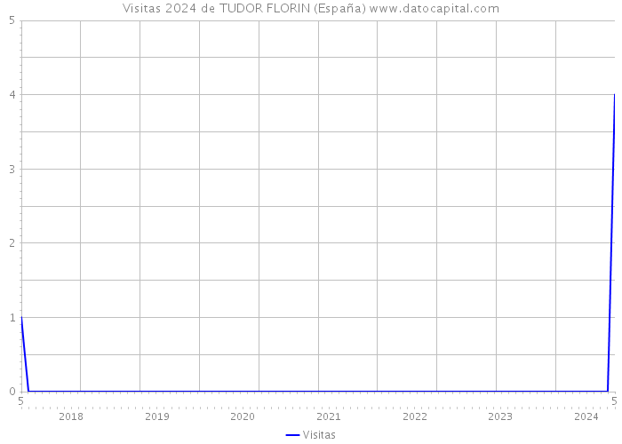 Visitas 2024 de TUDOR FLORIN (España) 