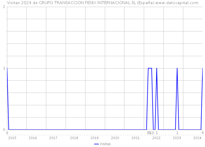 Visitas 2024 de GRUPO TRANSACCION FENIX INTERNACIONAL SL (España) 