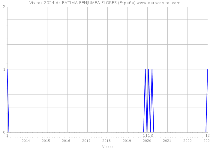 Visitas 2024 de FATIMA BENJUMEA FLORES (España) 