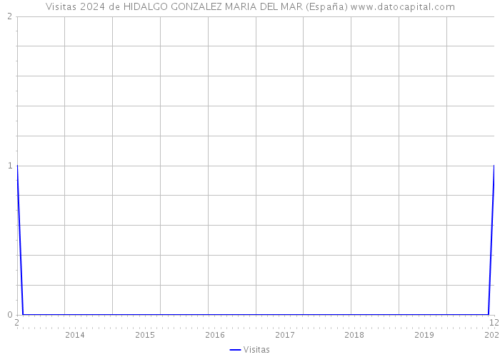 Visitas 2024 de HIDALGO GONZALEZ MARIA DEL MAR (España) 