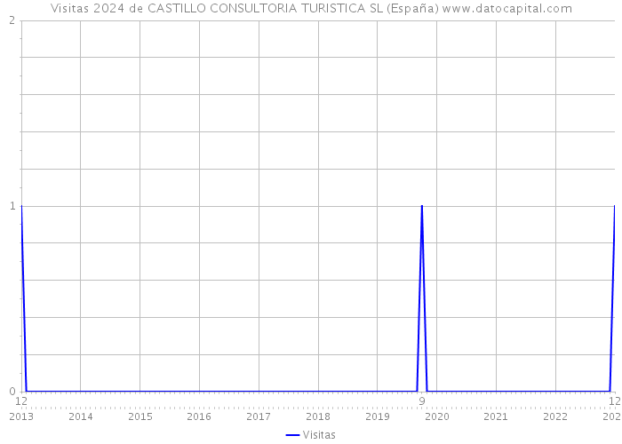 Visitas 2024 de CASTILLO CONSULTORIA TURISTICA SL (España) 