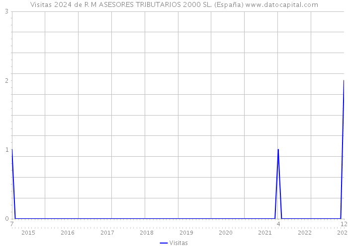Visitas 2024 de R M ASESORES TRIBUTARIOS 2000 SL. (España) 