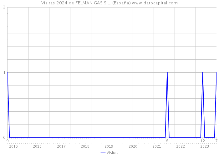 Visitas 2024 de FELMAN GAS S.L. (España) 