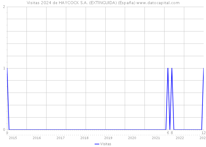Visitas 2024 de HAYCOCK S.A. (EXTINGUIDA) (España) 