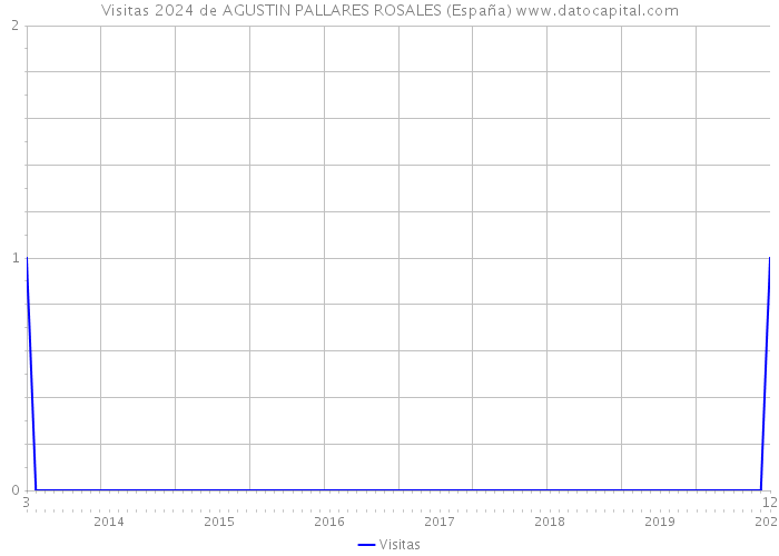 Visitas 2024 de AGUSTIN PALLARES ROSALES (España) 