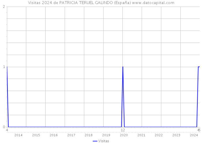 Visitas 2024 de PATRICIA TERUEL GALINDO (España) 
