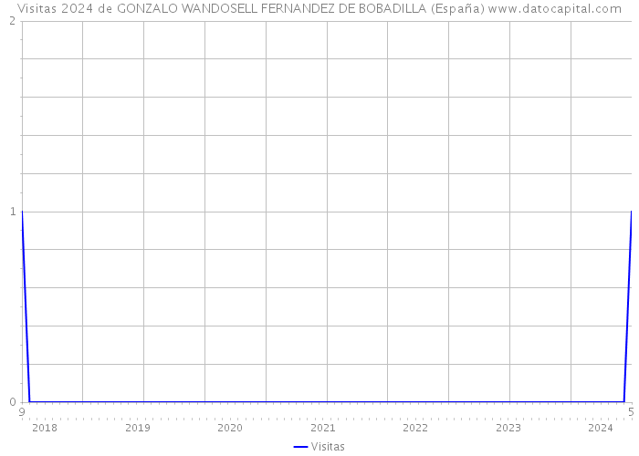 Visitas 2024 de GONZALO WANDOSELL FERNANDEZ DE BOBADILLA (España) 