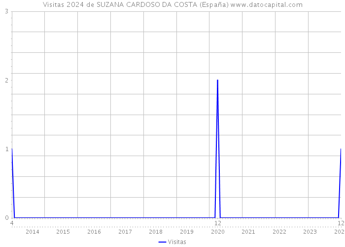 Visitas 2024 de SUZANA CARDOSO DA COSTA (España) 