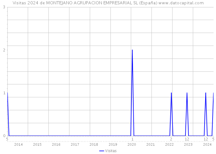 Visitas 2024 de MONTEJANO AGRUPACION EMPRESARIAL SL (España) 
