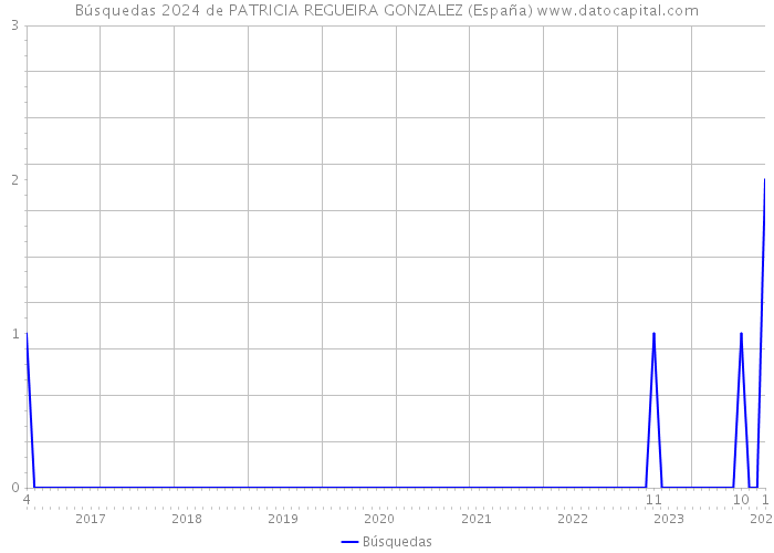 Búsquedas 2024 de PATRICIA REGUEIRA GONZALEZ (España) 