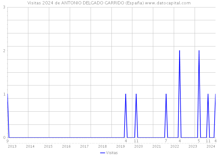 Visitas 2024 de ANTONIO DELGADO GARRIDO (España) 
