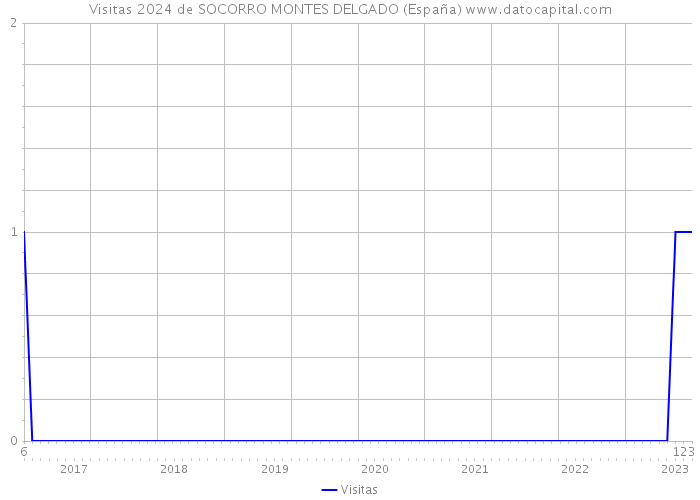 Visitas 2024 de SOCORRO MONTES DELGADO (España) 