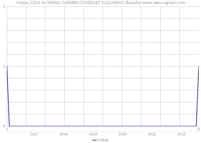 Visitas 2024 de MARIA CARMEN GONZALEZ GUILLAMAS (España) 