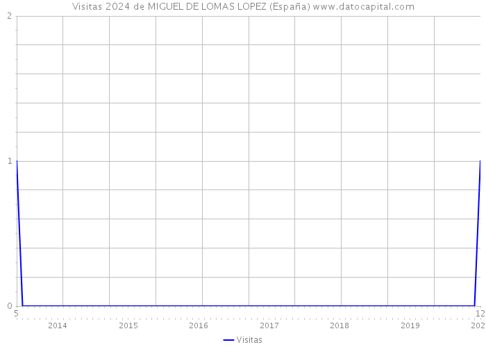 Visitas 2024 de MIGUEL DE LOMAS LOPEZ (España) 