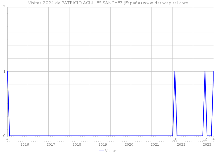 Visitas 2024 de PATRICIO AGULLES SANCHEZ (España) 
