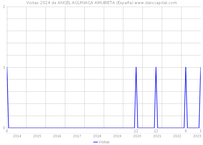 Visitas 2024 de ANGEL AGUINAGA AMUBIETA (España) 