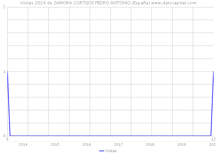 Visitas 2024 de ZAMORA CORTIJOS PEDRO ANTONIO (España) 