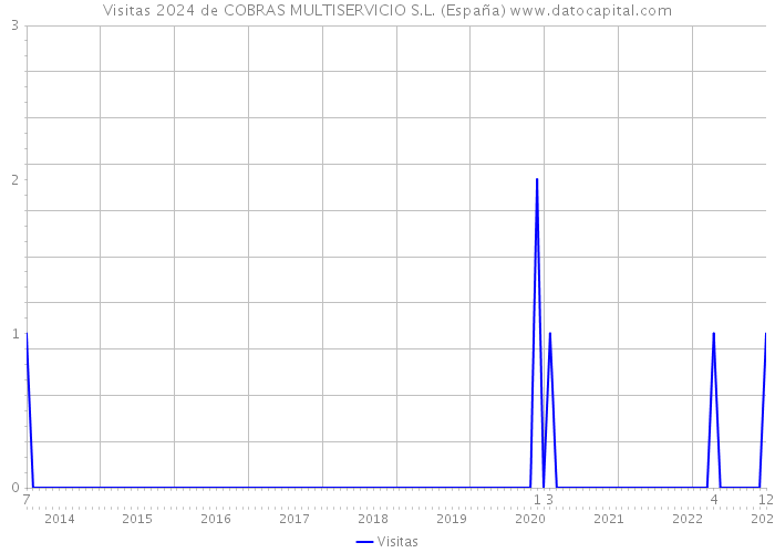Visitas 2024 de COBRAS MULTISERVICIO S.L. (España) 