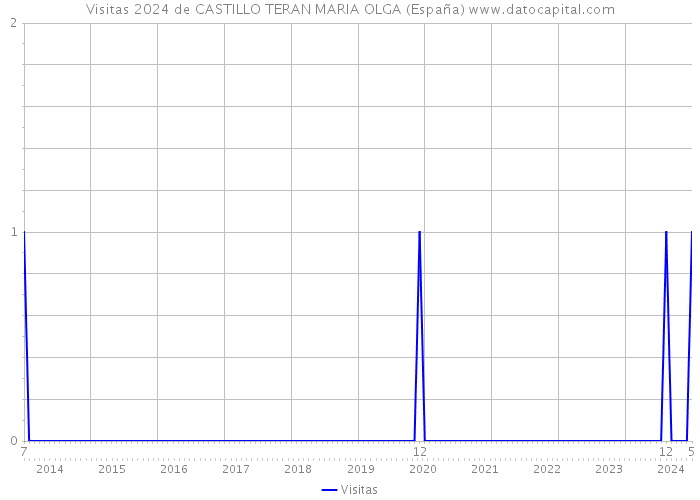 Visitas 2024 de CASTILLO TERAN MARIA OLGA (España) 