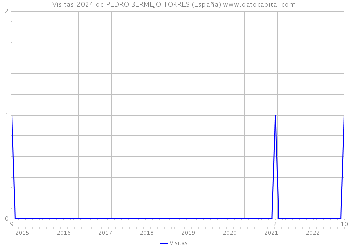 Visitas 2024 de PEDRO BERMEJO TORRES (España) 