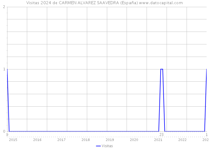 Visitas 2024 de CARMEN ALVAREZ SAAVEDRA (España) 