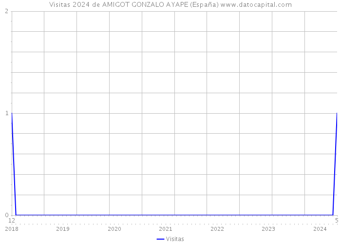 Visitas 2024 de AMIGOT GONZALO AYAPE (España) 