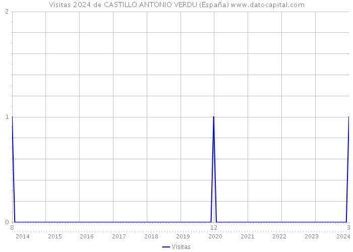 Visitas 2024 de CASTILLO ANTONIO VERDU (España) 