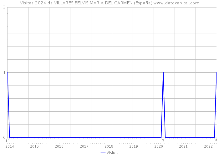 Visitas 2024 de VILLARES BELVIS MARIA DEL CARMEN (España) 