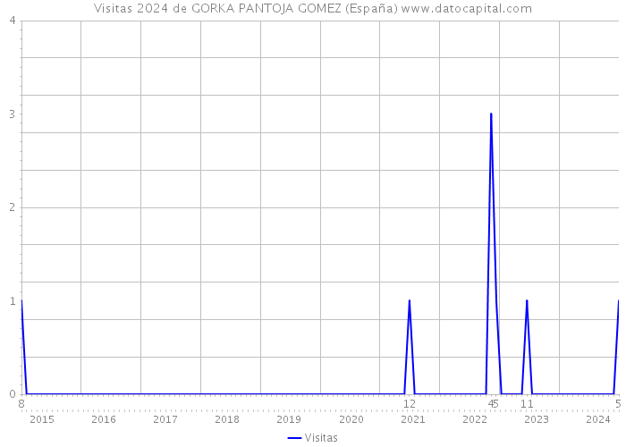 Visitas 2024 de GORKA PANTOJA GOMEZ (España) 