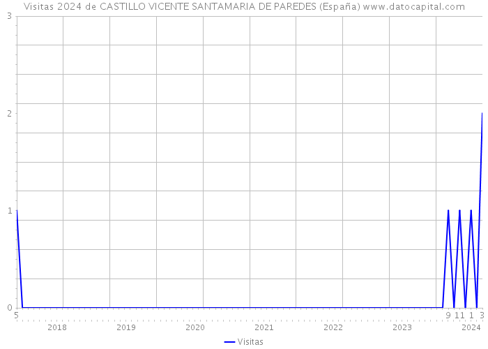 Visitas 2024 de CASTILLO VICENTE SANTAMARIA DE PAREDES (España) 