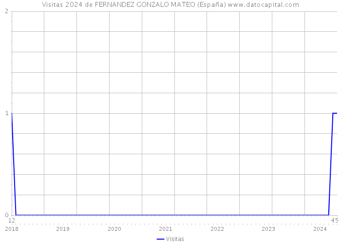 Visitas 2024 de FERNANDEZ GONZALO MATEO (España) 