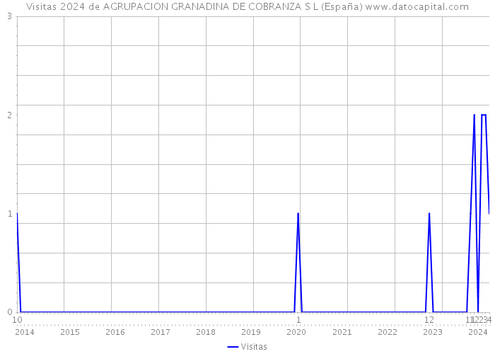 Visitas 2024 de AGRUPACION GRANADINA DE COBRANZA S L (España) 