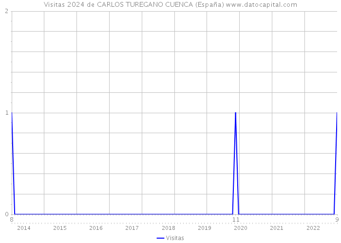Visitas 2024 de CARLOS TUREGANO CUENCA (España) 