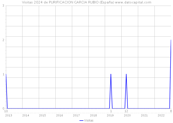 Visitas 2024 de PURIFICACION GARCIA RUBIO (España) 