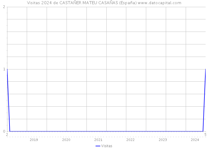 Visitas 2024 de CASTAÑER MATEU CASAÑAS (España) 