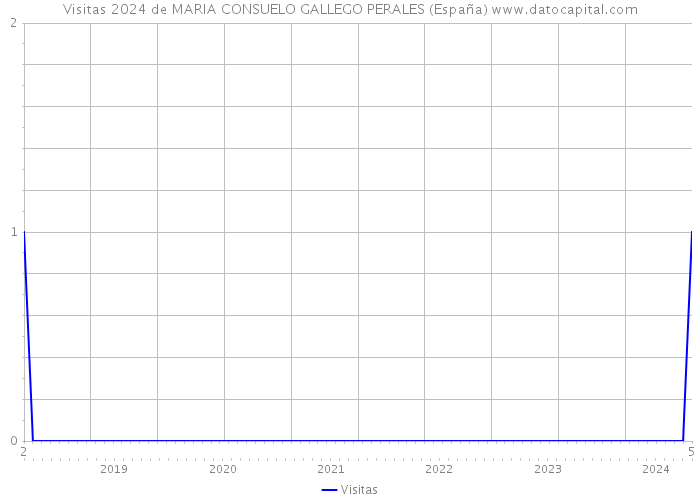 Visitas 2024 de MARIA CONSUELO GALLEGO PERALES (España) 