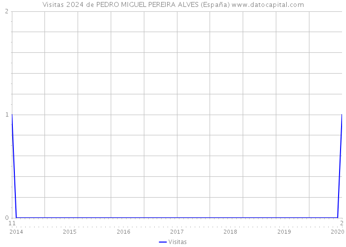 Visitas 2024 de PEDRO MIGUEL PEREIRA ALVES (España) 