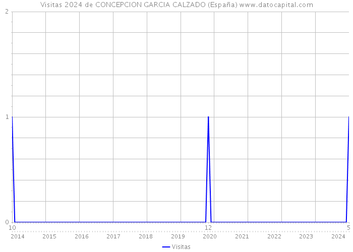 Visitas 2024 de CONCEPCION GARCIA CALZADO (España) 