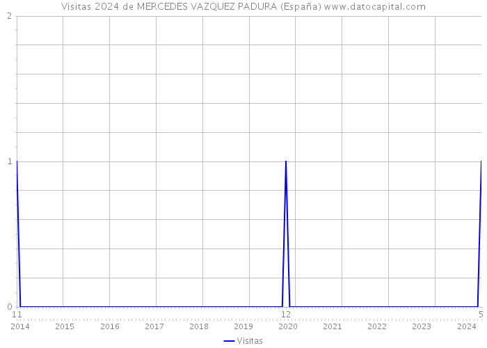 Visitas 2024 de MERCEDES VAZQUEZ PADURA (España) 
