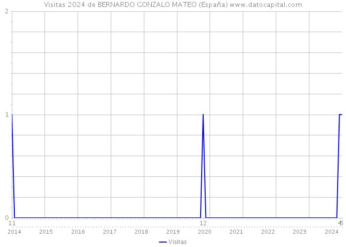 Visitas 2024 de BERNARDO GONZALO MATEO (España) 