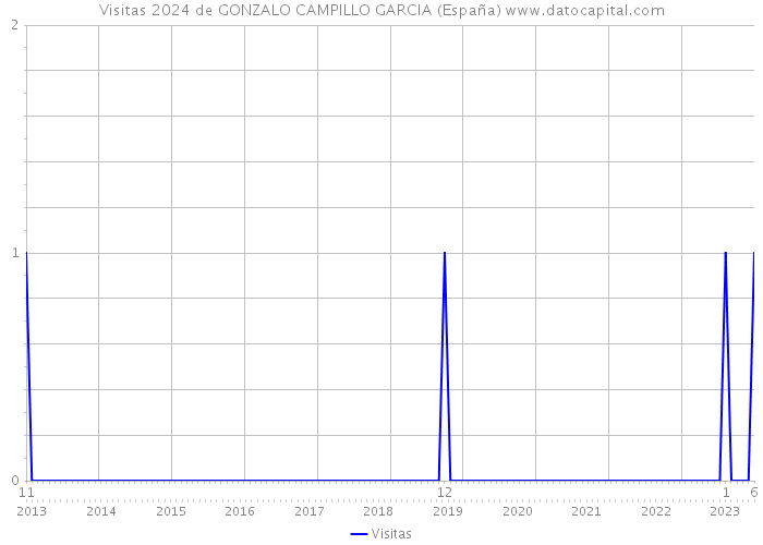 Visitas 2024 de GONZALO CAMPILLO GARCIA (España) 