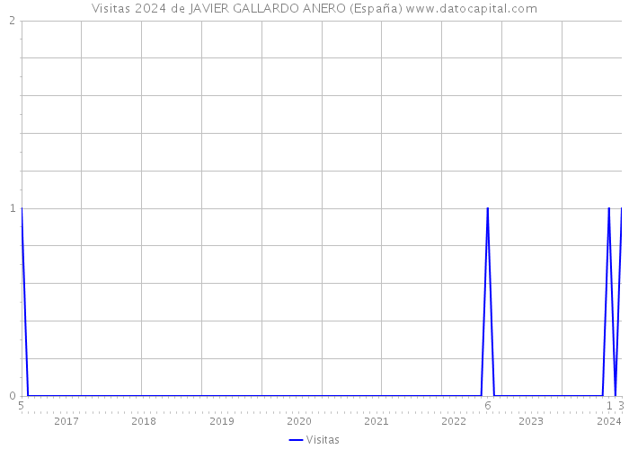 Visitas 2024 de JAVIER GALLARDO ANERO (España) 