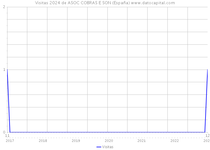 Visitas 2024 de ASOC COBRAS E SON (España) 